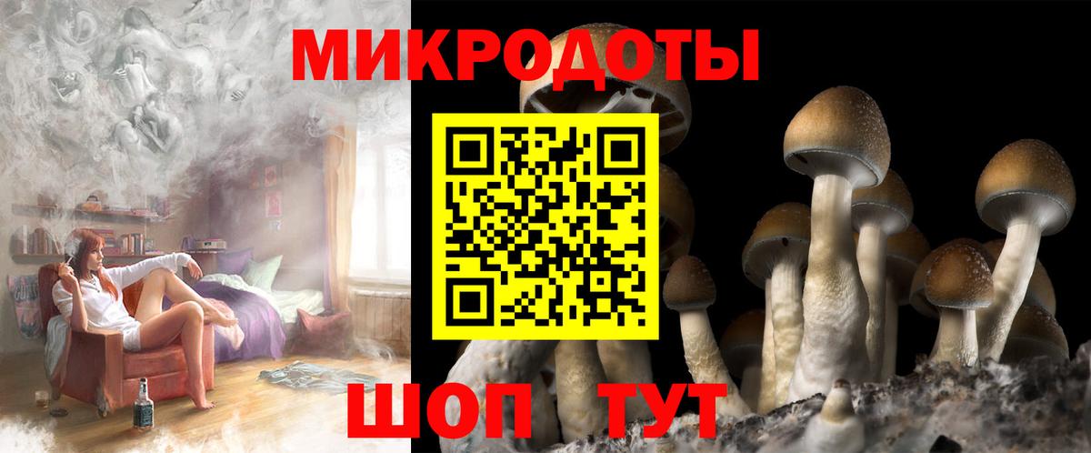Галлюциногенные грибы Psilocybe Городец